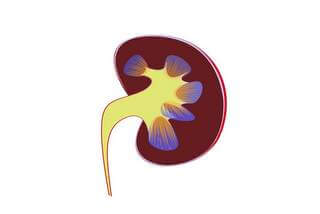 Kidney care