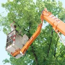 Leon's Tree Service
