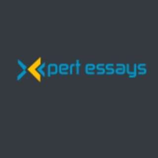 expert essays writers