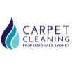 Carpet Cleaning Professionals Sydney