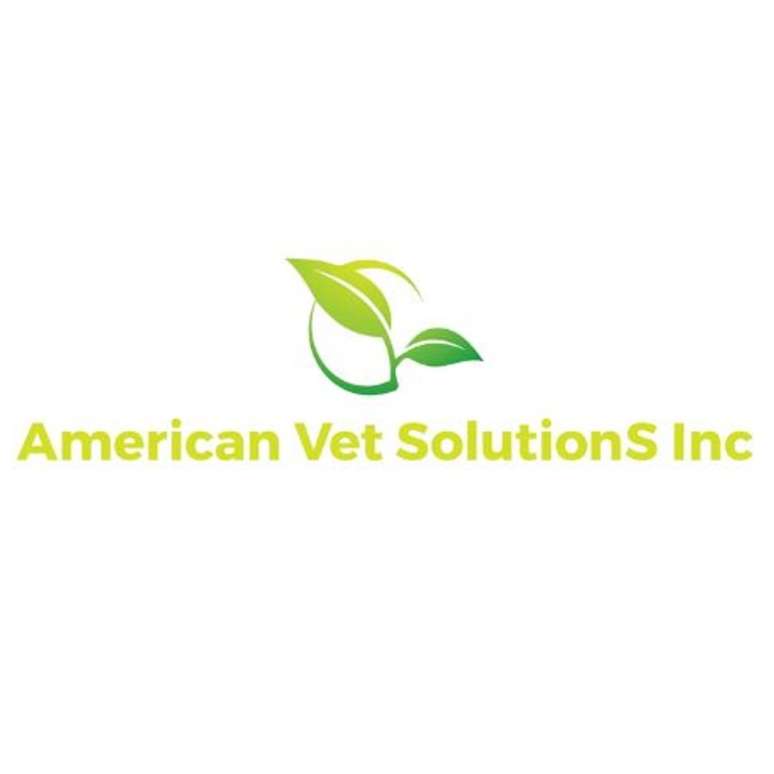 American Vet Solutions Inc