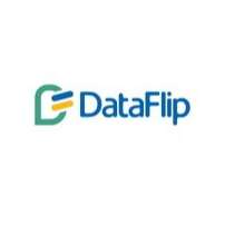 DataFlip
