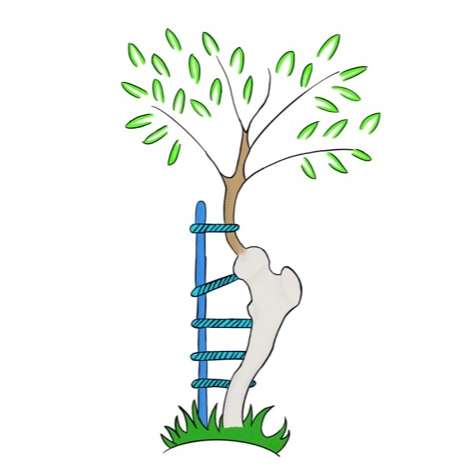 Shore Hip & Joint: Brett Shore, MD