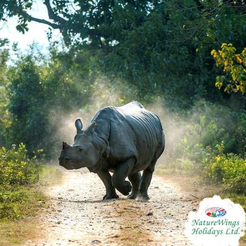 Discover the Magic of Arunachal Pradesh: Premium Tawang Tour Package