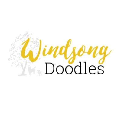 Windsong Doodles LLC