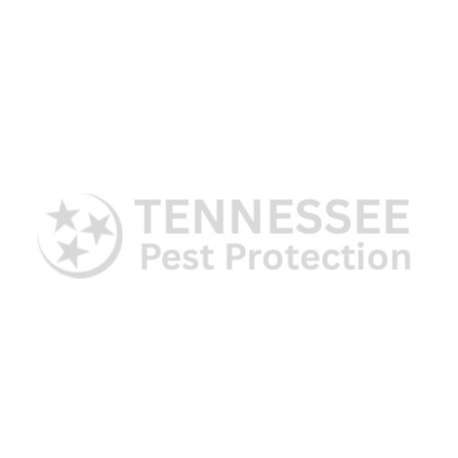 Tennessee Pest Protection
