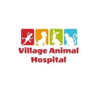 Village Animal Hospital
