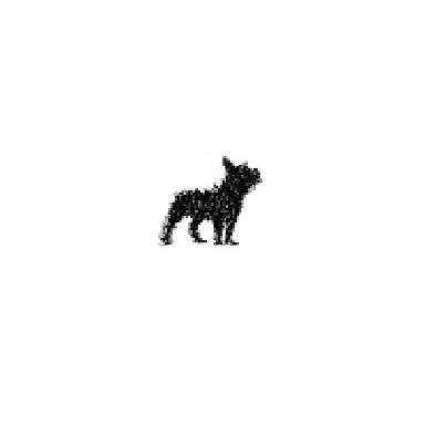 Frenchie Doodle
