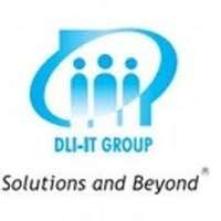 DLI-IT Group