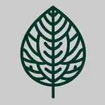 Maarte USA LLC