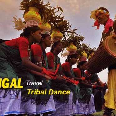 North Bengal Tour Package from Kolkata – Explore Lava, Lolegaon, Rishyap & Kalimpong