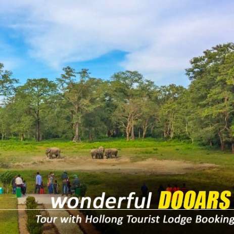 Unfold the Wilderness Charm through a Dooars Tour with Jaldapara Elephant Safari