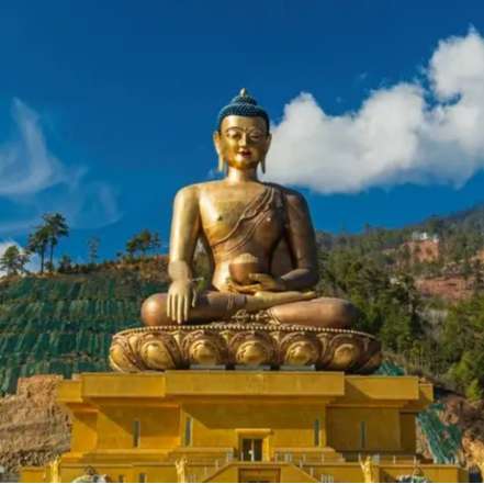 Exclusive Bhutan Tour Package from Delhi Featuring Direct Flights and E-Permits || NatureWings Holidays Limited