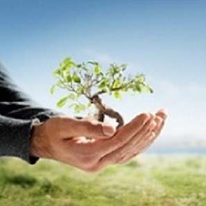 Tree Cowboys and Landscaping LLC