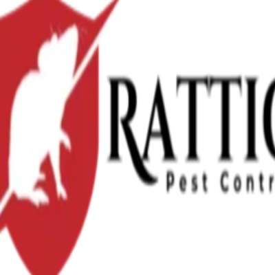 Rattic Pest Control - Slough - Berkshire