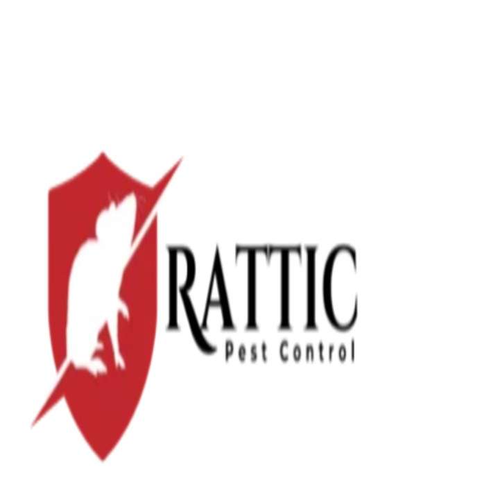 Rattic Pest Control - Slough - Berkshire