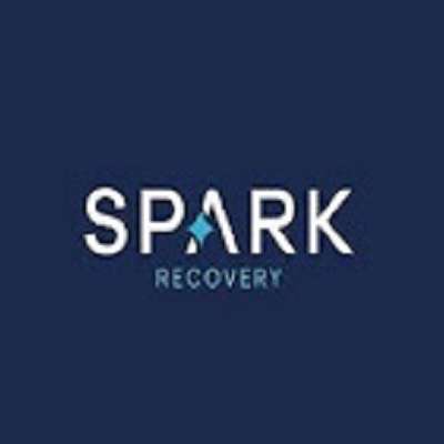 Spark Recovery