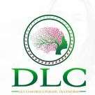 Dynamic Leadership Coaching
