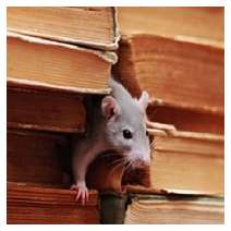 Bug Free Pest Control, LLC