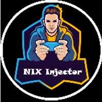 Nix Injector