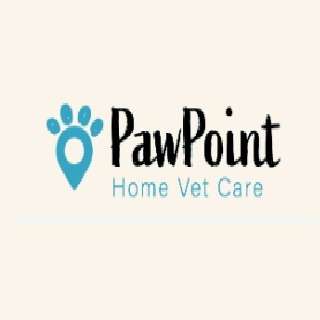 Pet Care At Home