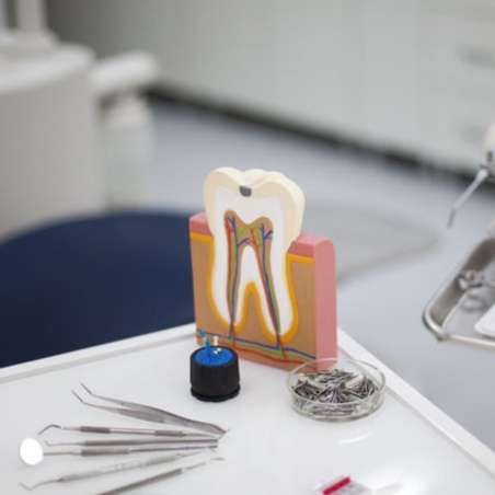 Janet Hogan Harrison, DDS PC
