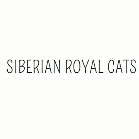 Siberian Royal Cats