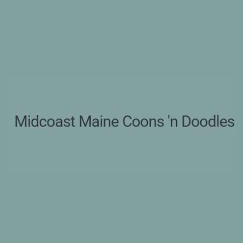 Midcoast Maine Coons n Doodles