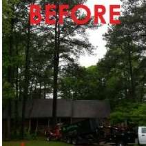 Whispering Tree Service