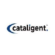 Cataligent Project Pvt Ltd