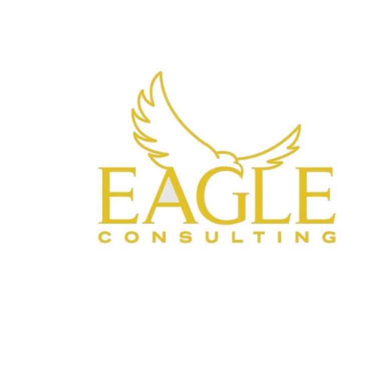 Eagle Business Consulting