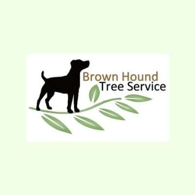 Brown Hound Tree Service