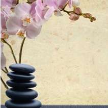 Healing Hands Of Don Massage