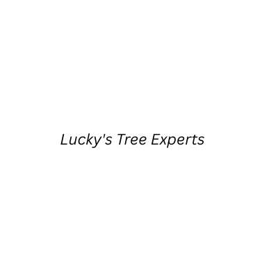 Lucky's Tree Experts