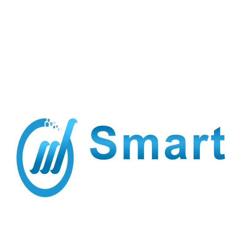 Smart Digital Marketing Agency
