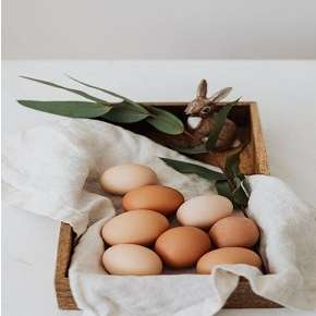 S & R Egg Ranch