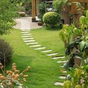 Peter Valenti Landscaping