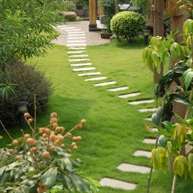 Richard's Lawn Care