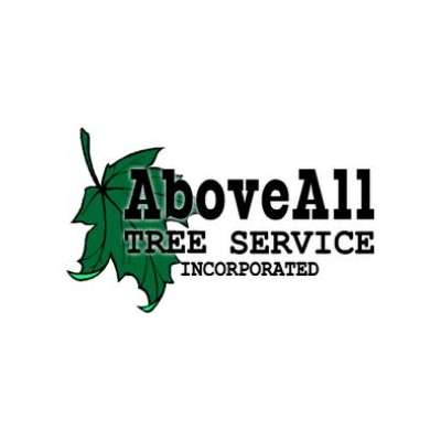 Above All Tree Service
