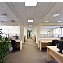 D & B Professional Cleaning Service