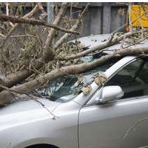 Quality Insurance Of Tallahassee