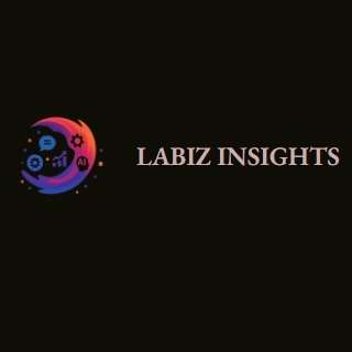 Labiz Insights